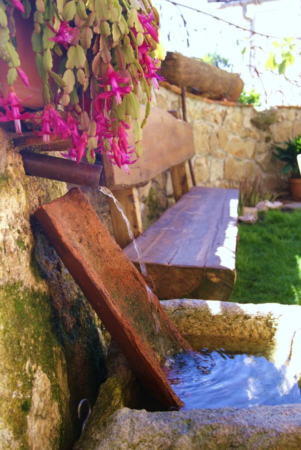 Posada La Gatera Pedro Bernardo ภายนอก รูปภาพ