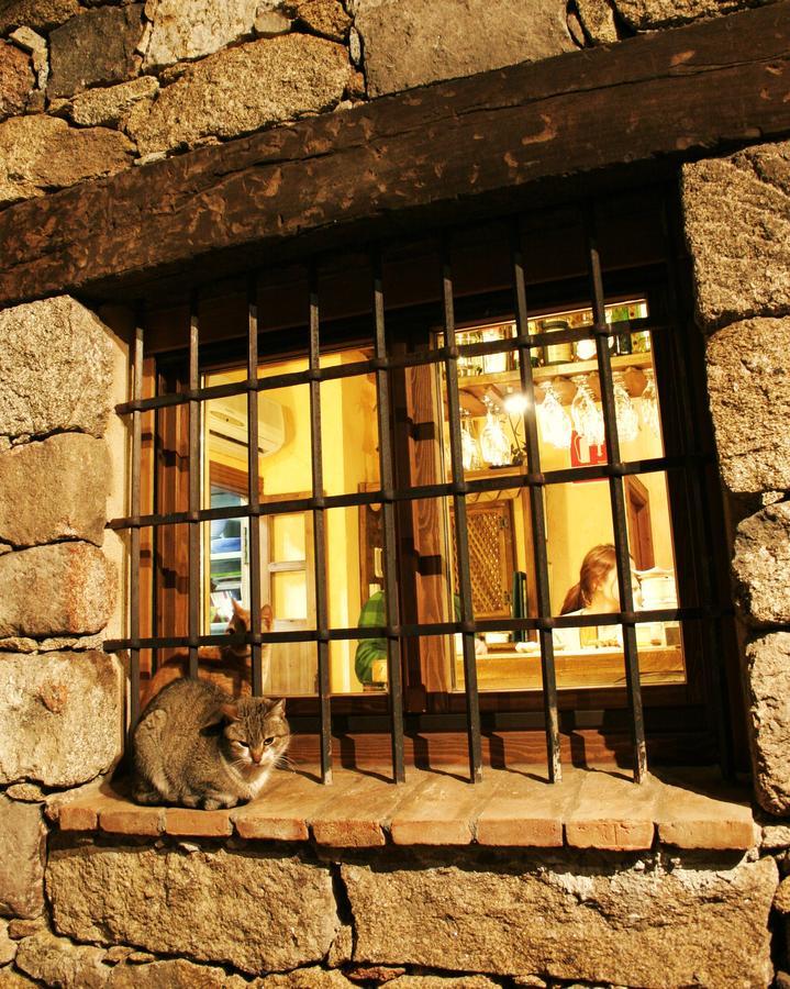 Posada La Gatera Pedro Bernardo ภายนอก รูปภาพ